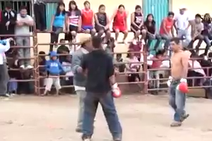 These are real fights, aren`t they -  Haha